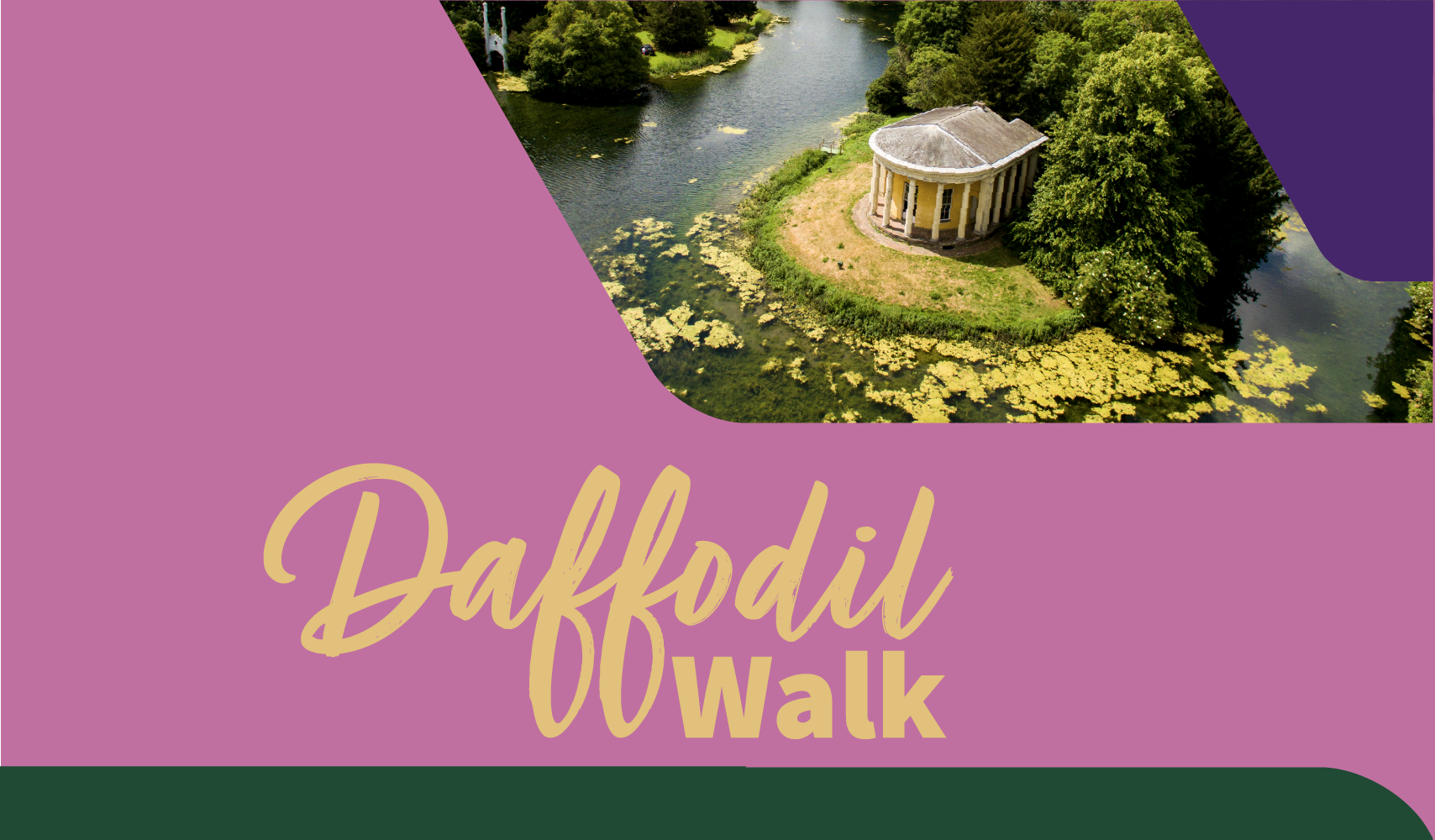 Daffodil Walk 2024