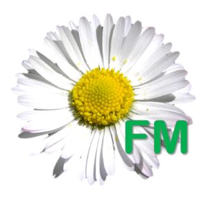 Daisy FM company logo