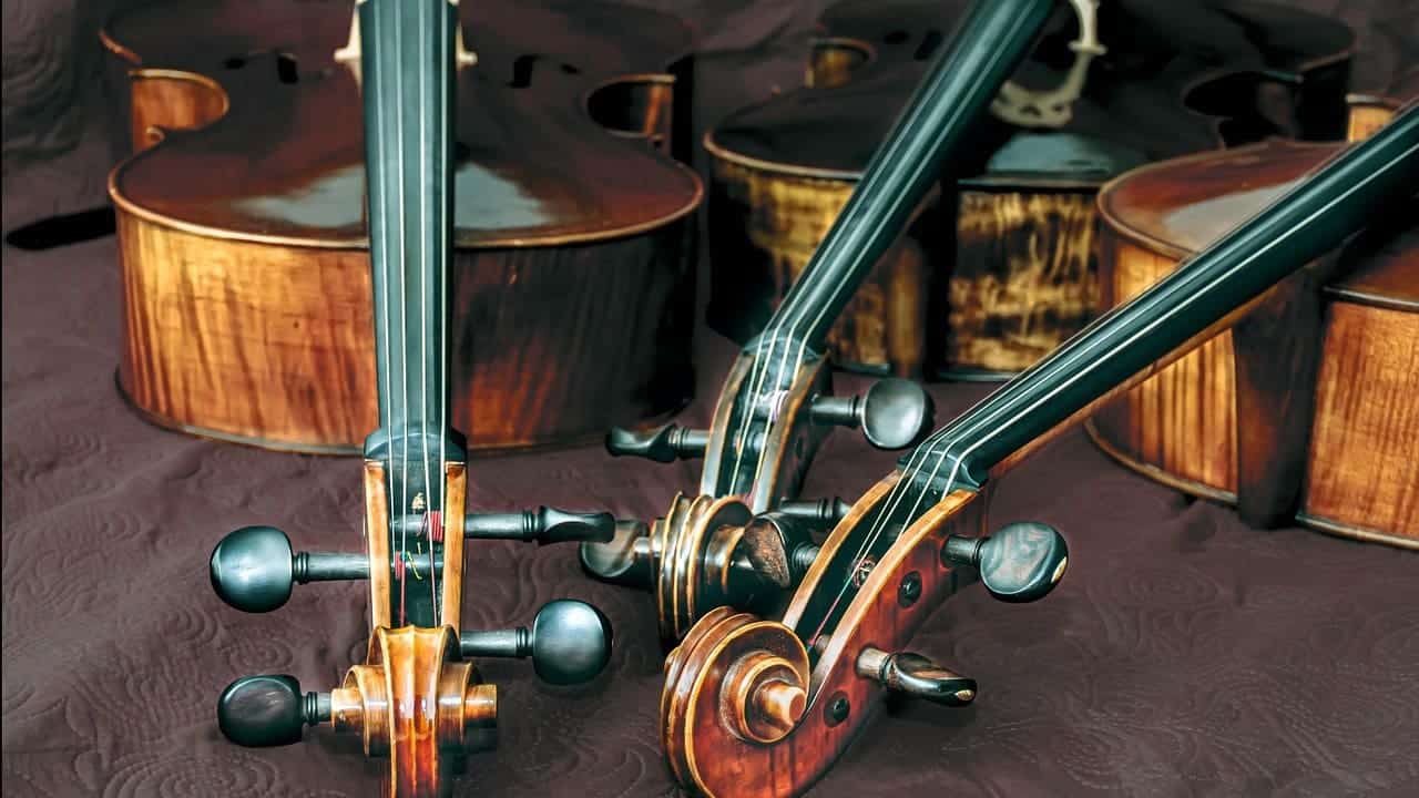 Musical instrument specialist for ebay