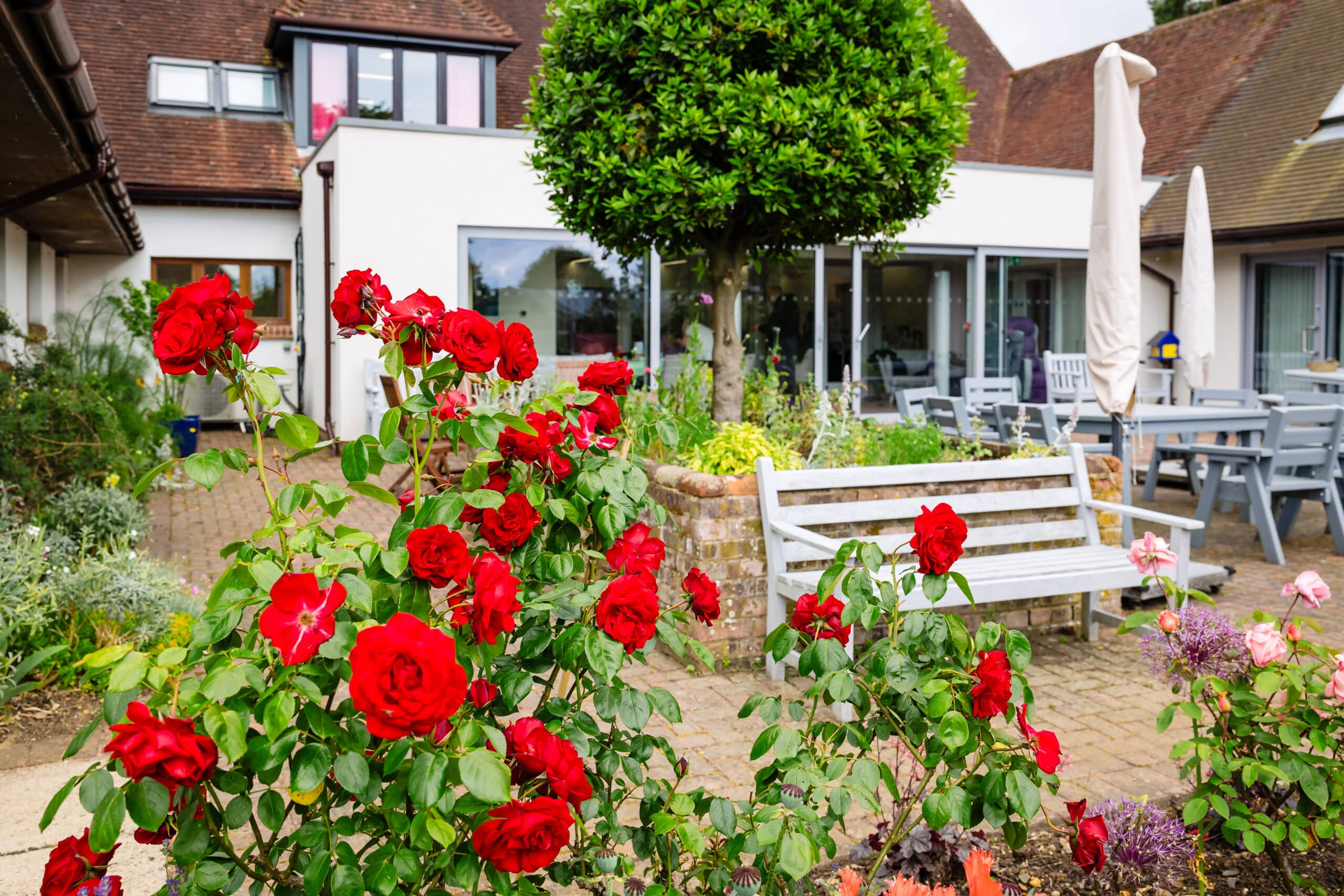 Gardening Group (Autumn)
