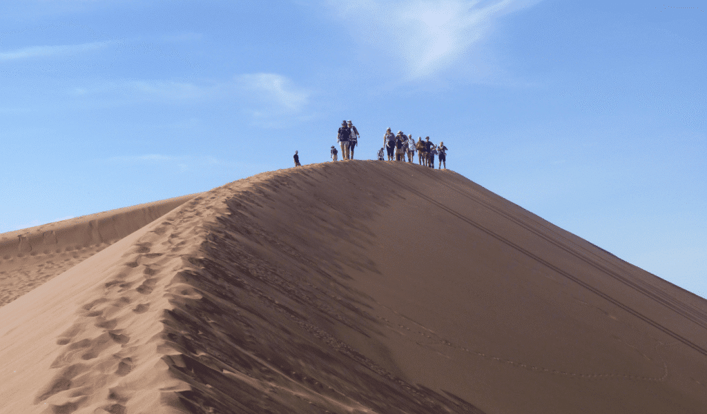 Sahara trek