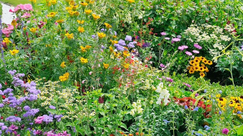 Oxhey Open Gardens